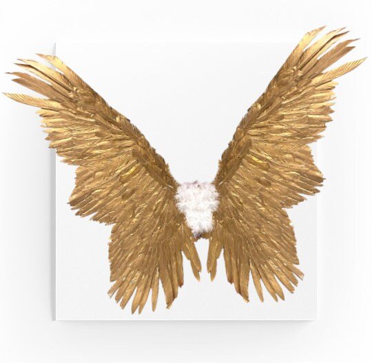 Alas de ángel de hada de mariposa de plumas doradas grandes, color dorado para disfraz de Halloween, alas para hombres, mujeres y adultos L - SACASUSA