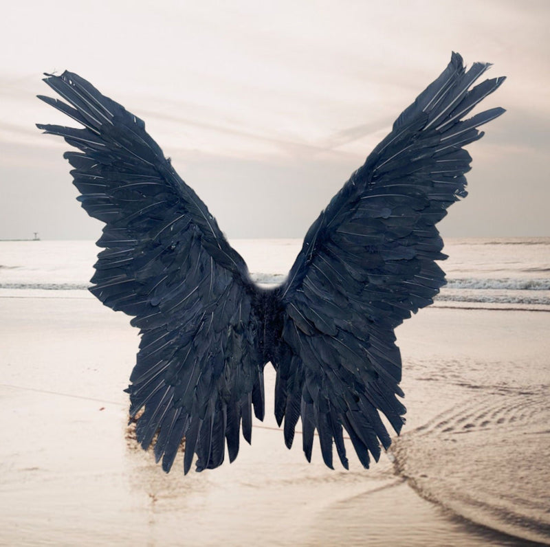 Alas de ángel de hada de mariposa de plumas negras grandes Alas de disfraz de Halloween Hombres Mujeres Adultos L - SACASUSA