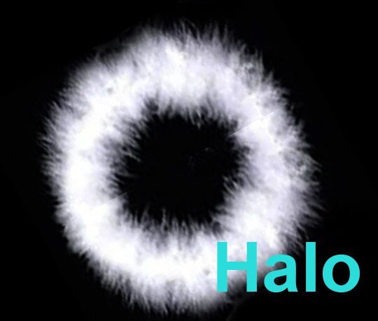 Alas de á?ngel de plumas reales grandes de 44x13 pulgadas, Halo libre en blanco o negro, hombres, mujeres, adultos, talla L para fiesta de disfraces de Halloween - SACASUSA
