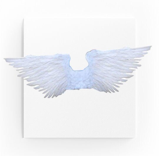 Alas de á?ngel de plumas reales grandes de 44x13 pulgadas, Halo libre en blanco o negro, hombres, mujeres, adultos, talla L para fiesta de disfraces de Halloween - SACASUSA