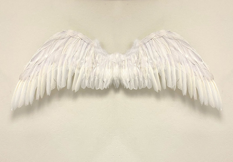 Grandes alas de ángel de hadas grandes de plumas blancas de 47 x 17 pulgadas con halo gratis para alas de disfraces de Halloween Hombres Mujeres Adultos L XXL - SACASUSA