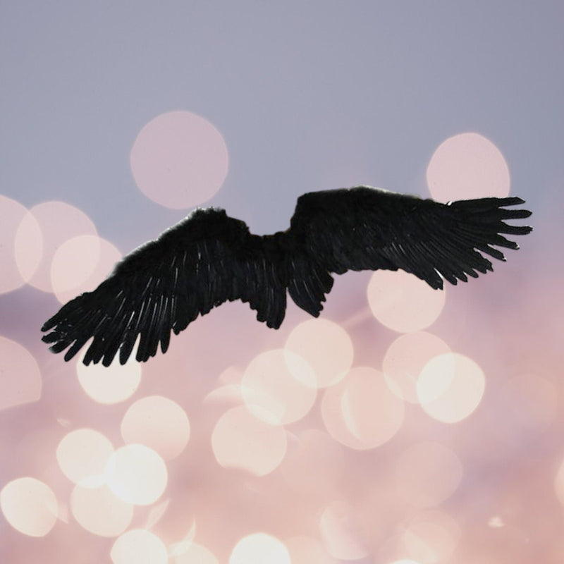 Grandes alas de ángel de plumas negras para adultos con halo gratis - SACASUSA