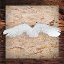 Hecho a mano gran pluma blanca disfraz de Halloween alas de ángel blanco con halo gratis para fiesta de disfraces de Halloween hombres mujeres adultos tamaño L - SACASUSA