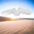 Hecho a mano gran pluma blanca disfraz de Halloween alas de ángel blanco con halo gratis para fiesta de disfraces de Halloween hombres mujeres adultos tamaño L - SACASUSA