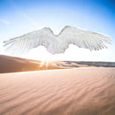 Hecho a mano gran pluma blanca disfraz de Halloween alas de ángel blanco con halo gratis para fiesta de disfraces de Halloween hombres mujeres adultos tamaño L - SACASUSA