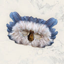 Máscara de disfraz de búho de plumas grises Halloween Mardi Gras n gris, blanco y marrón - SACASUSA