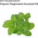 Paquete de 4 bálsamos labiales orgánicos certificados por USDA. 100% orgánico, vegano, todos los sabores naturales, cereza, vainilla, frambuesa, limonada, lápiz labial, sin parabenos, OGM - SACASUSA