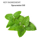 Paquete de 4 bálsamos labiales orgánicos certificados por USDA. Cavegirl Mine Sabor a menta orgánica vegana Hecho en EE. UU. Libre de parabeno. Reparar labios secos y agrietados - SACASUSA