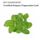 Paquete de 4 bálsamos labiales orgánicos certificados por USDA. Cavegirl Mine Vegano Sabor a Menta Orgánica Hecho en Estados Unidos. Libre de parabeno. Reparar labios secos y agrietados - SACASUSA